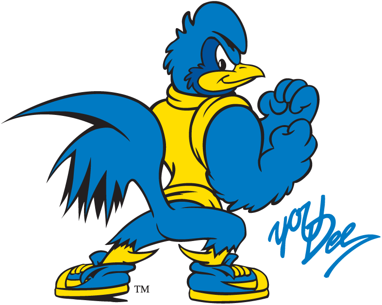 Delaware Blue Hens 1993-Pres Mascot Logo t shirts iron on transfers